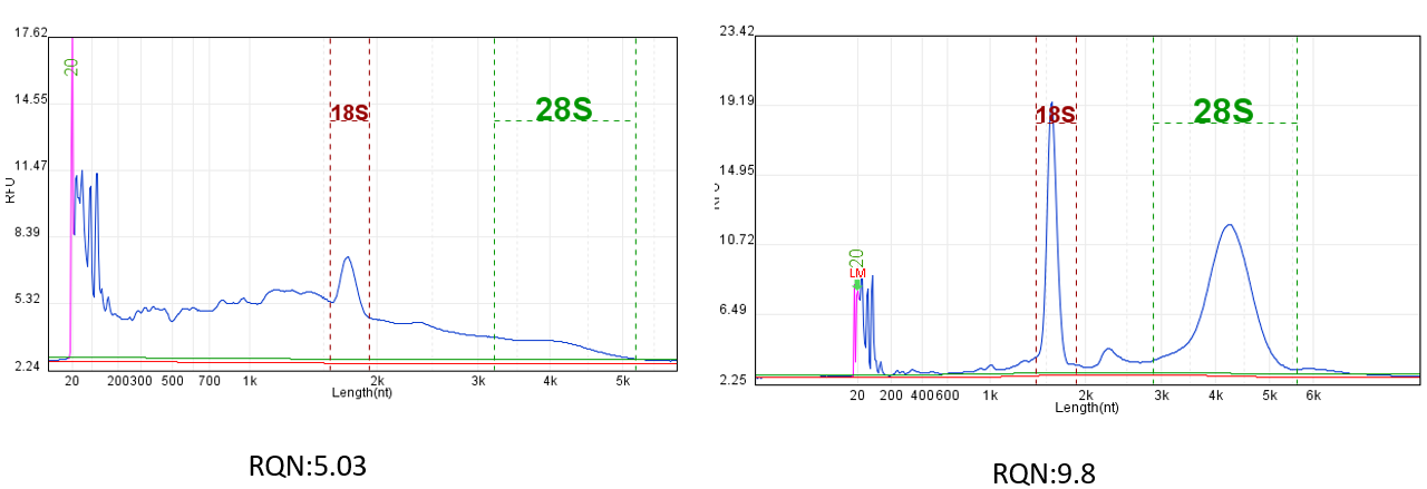 Comparison of RQN values of total RNA samples of different qualities