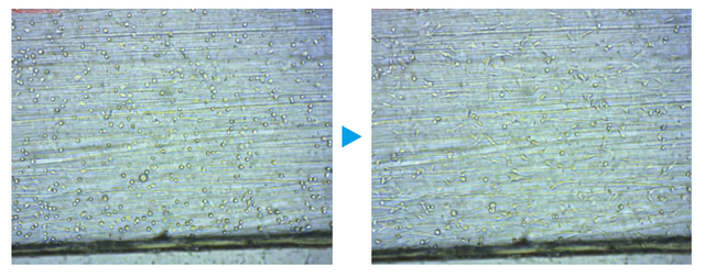 real-time observation of bubbles allows the research team to react appropriately