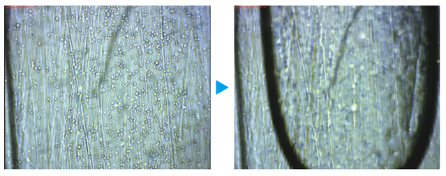 real-time observation of bubbles allows the research team to react appropriately