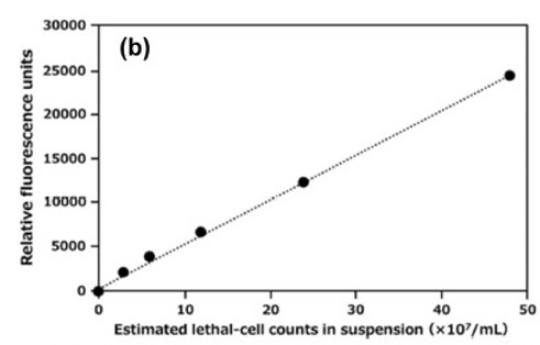 Calibration curve for PI fluorescence-based lethal-cell determination shows a strong linear relationship between RFU and estimated lethal-cell counts.