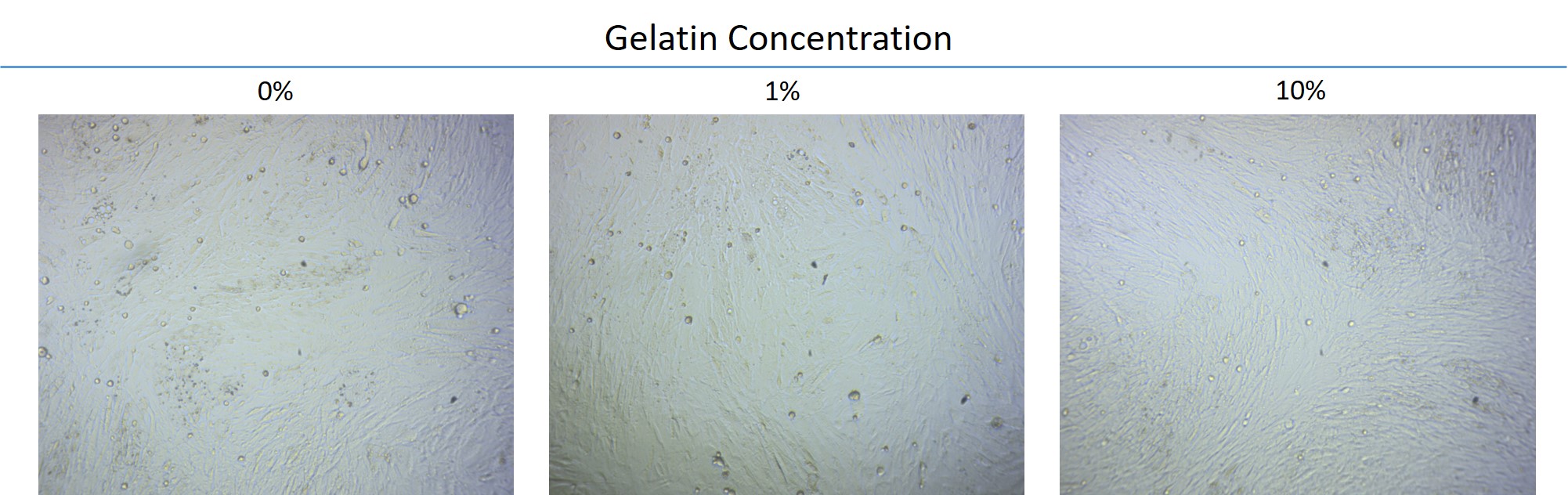 Stem cell differentiation