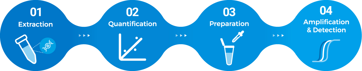 Nucleic acid testing solution from upstream extraction to downstream detection
